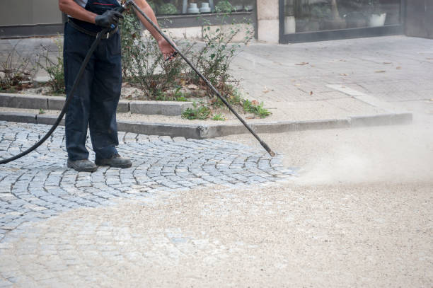 Best Concrete Surface Cleaning in Bear Creek, AL